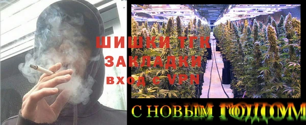 МДПВ Алексин