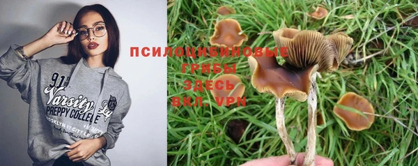 МДПВ Сатка