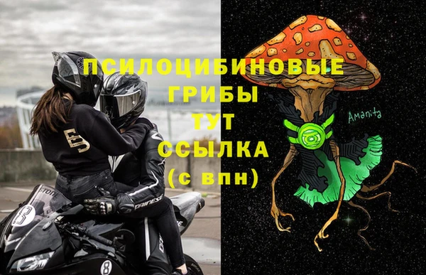 apvp Арсеньев