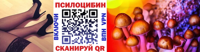 Галлюциногенные грибы Psilocybe  гидра сайт  Печоры 