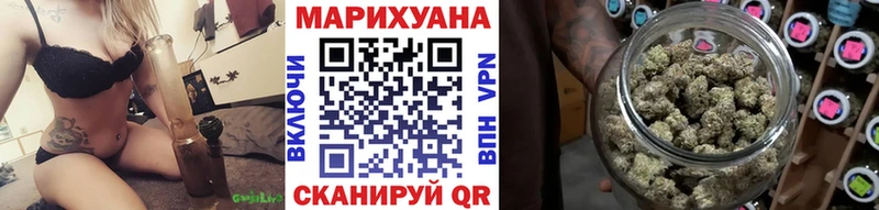 Конопля сатива Печоры